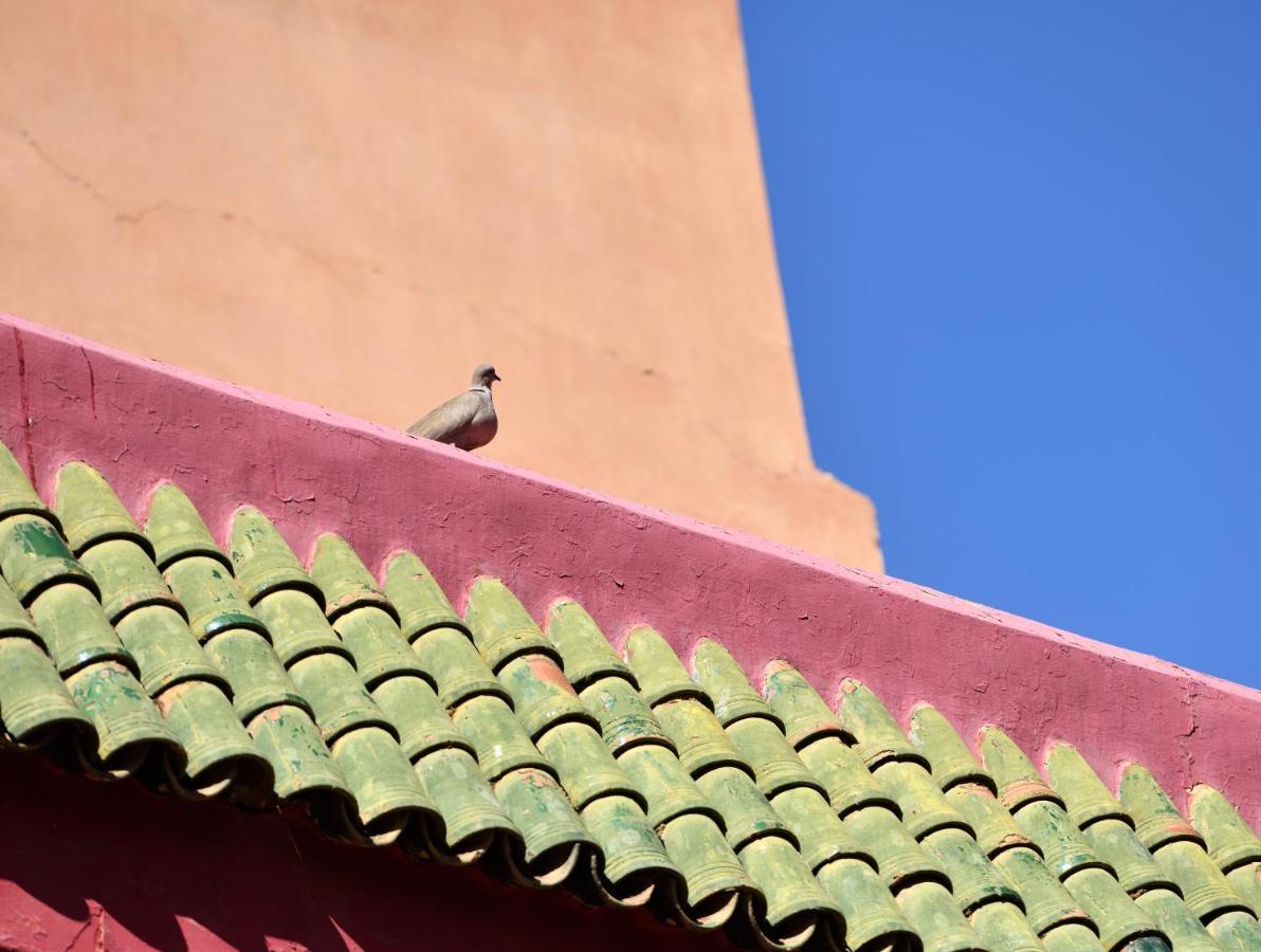 Riad L'Aziza Marrakesh Exterior photo